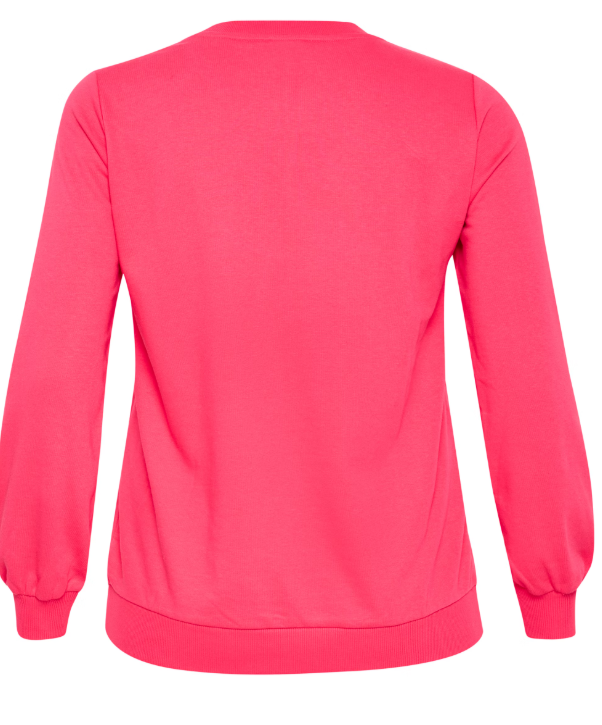 Curvy KCvioli Sweatshirt