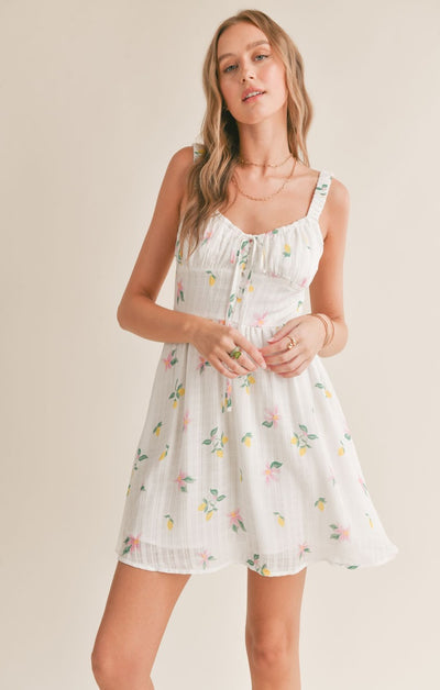 Spring Cleaning Dress